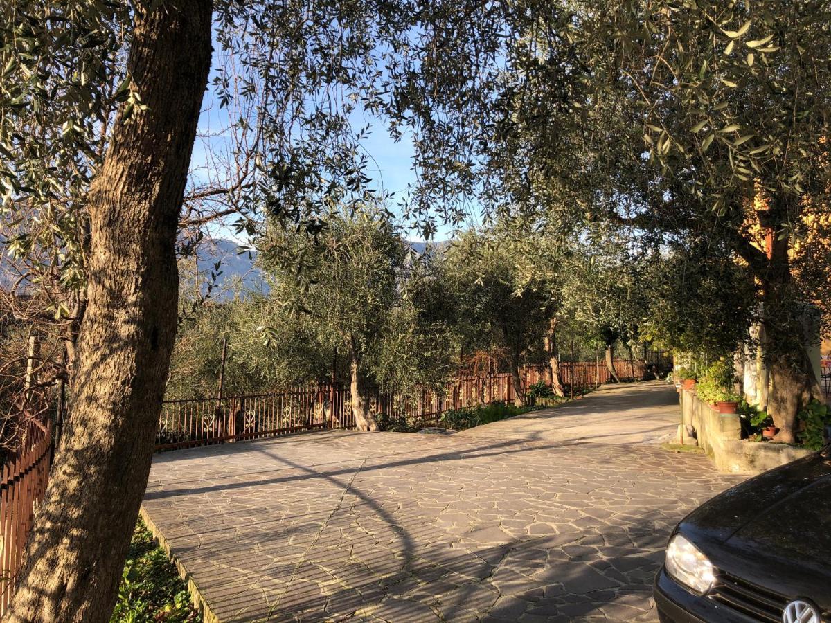 Appartamento Nonna Rosa Malcesine Kültér fotó